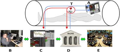 Neural Correlates of Direct Access Trading in a Real Stock Market: An fMRI Investigation